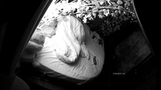Amateur Hidden Cam with Dildo Wives