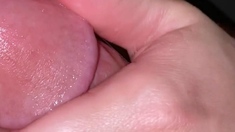 Big Cock Enjoys Blowjob And Hardcore Ride