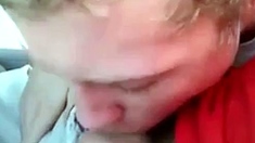 Backseat Blowjob and Cum Swallow