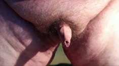 Chubby Guy's Little Joystick Swings Freely