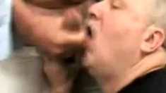Mature Bear Daddy Sucks and Swallows
