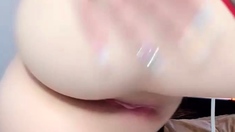 Amateur blowjob close up