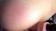 Amateur brunette ariana marie solo toying