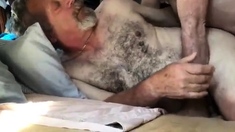 Mature Gay Daddy Barebacks His Hunk Lover