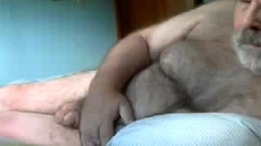Hairy Silver Fox on Cam