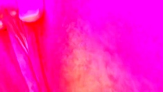 small tits CBrimberry sex Epic