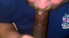 Hot Interracial Blowjob For Horny Gays