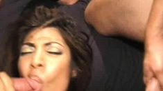 Busty brunette sucks and licks big cock in a close up