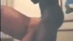 Black Amateur Gives A Blowjob To A Frenchman