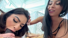 DreddXXX-Double Slut Combo