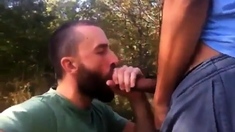 Outdoor Blowjob