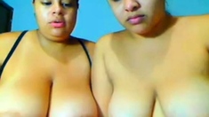 2 busty cousins