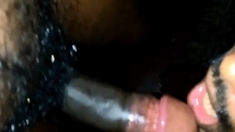 Sri Lankan Sucked by a Maldivian Twink