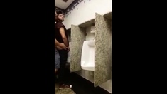 breeding a slut in a Public Bathroom