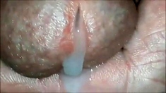 CLOSE UP MULTI CUMSHOTS