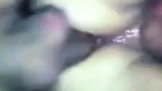 Amateur bareback gangbang breeding creampie